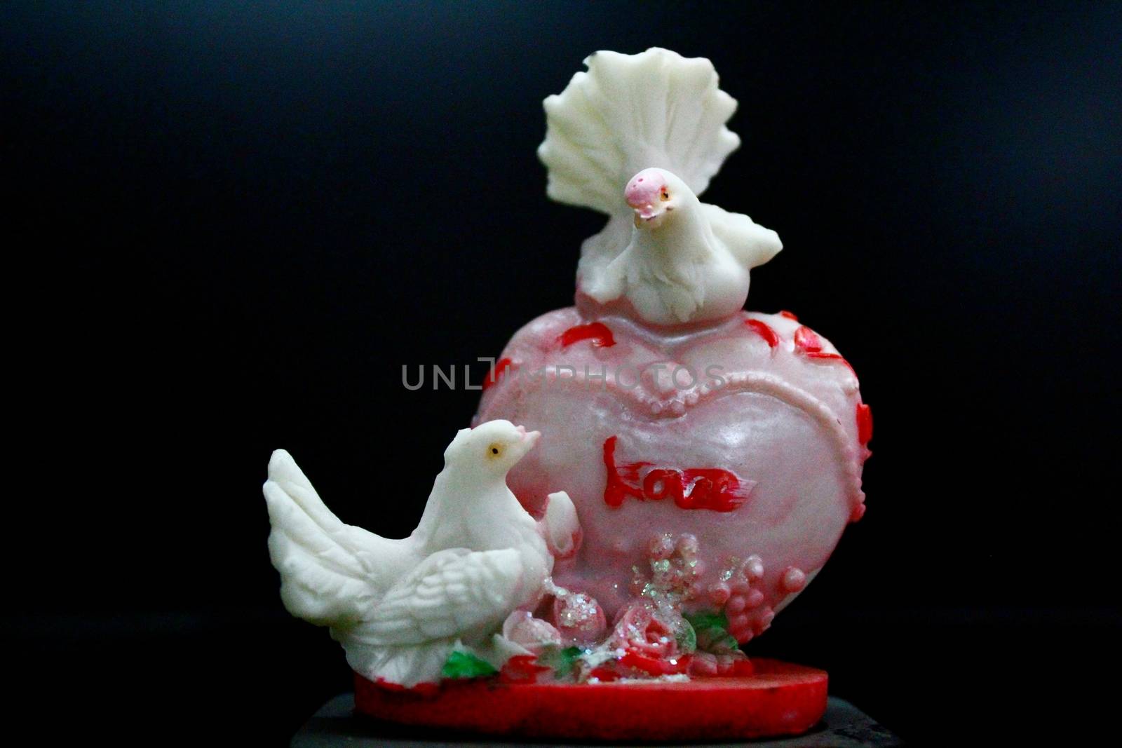 beautiful pigeon symbol of loveable couple by KUL-WIN