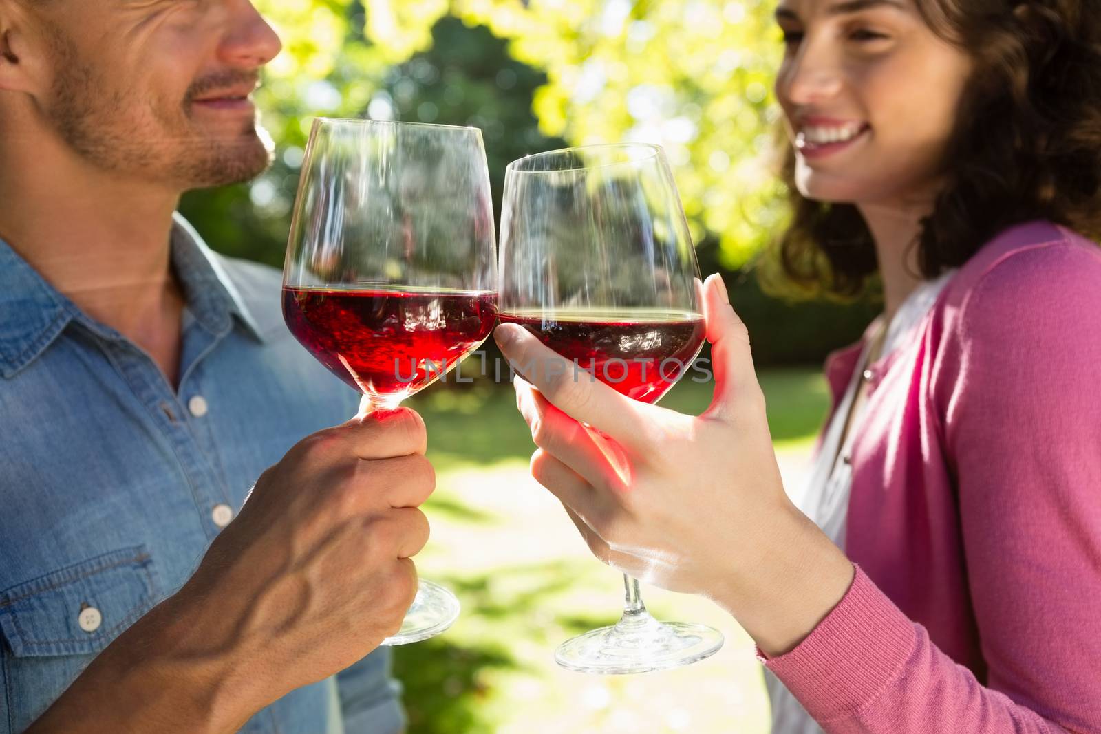 Romantic couple toasting glass of wine in park by Wavebreakmedia