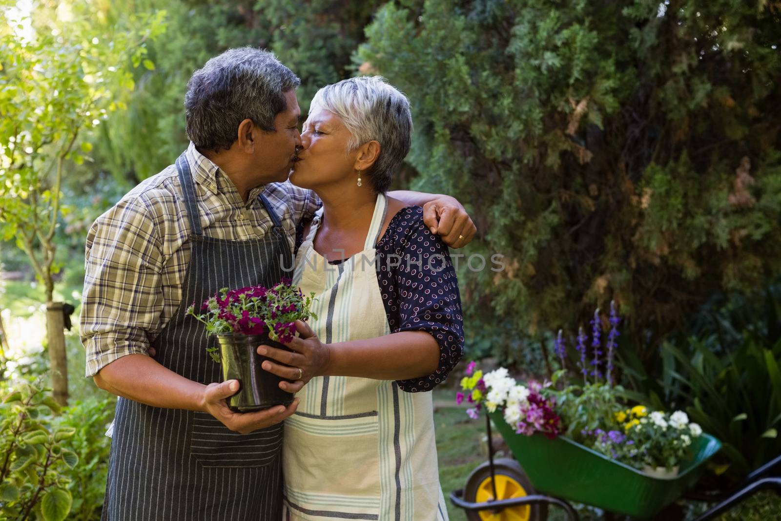 Romantic senior couple kissing each other in garden