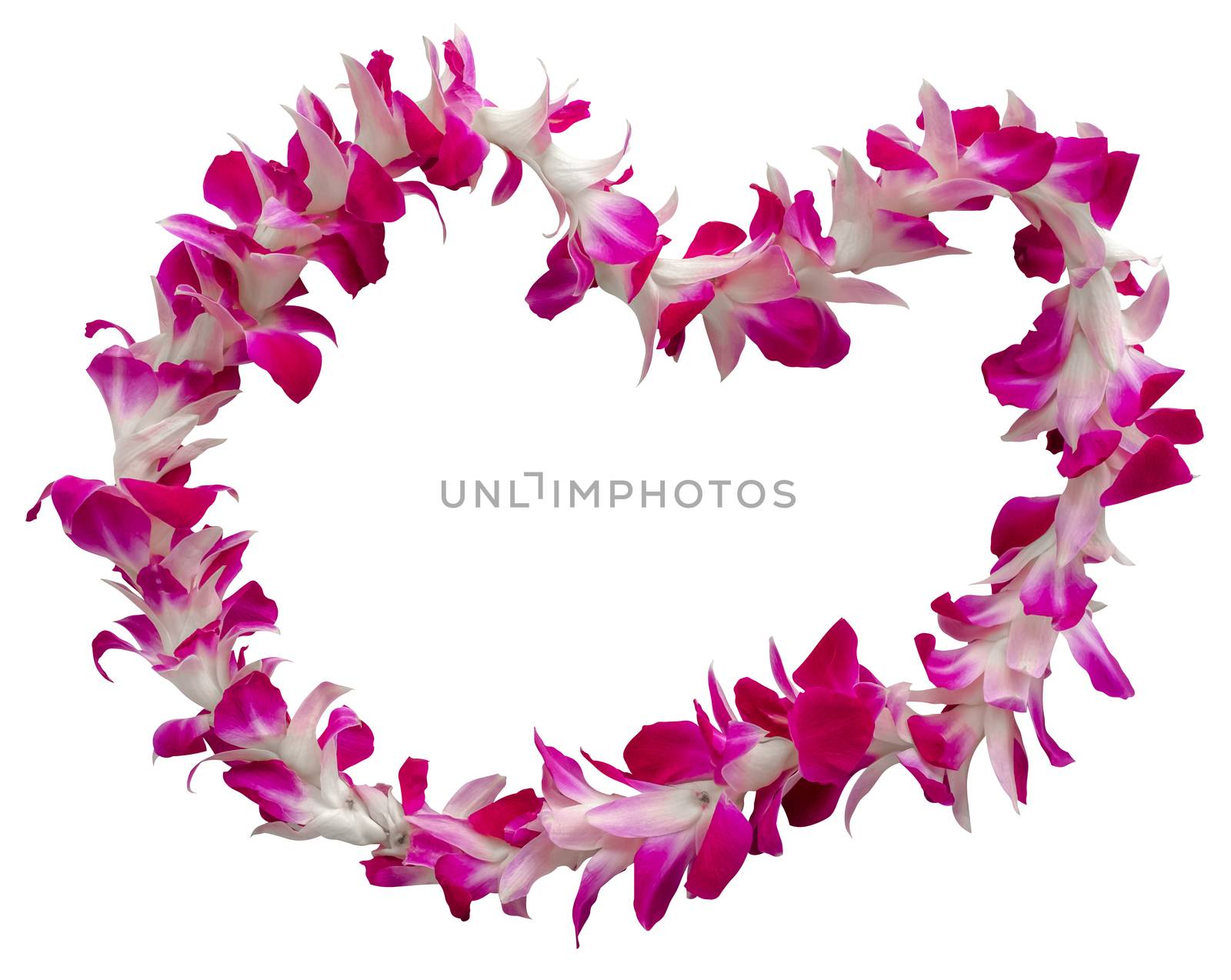 Hawaii Lei On A White Background by mrdoomits