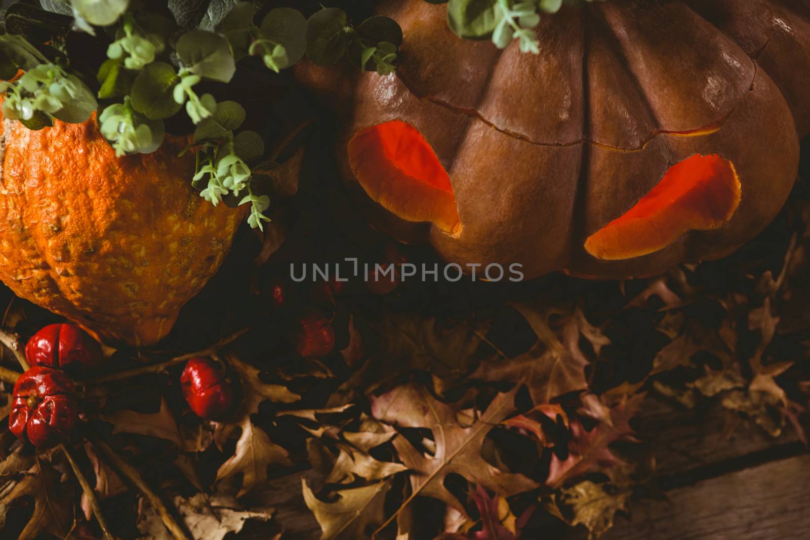 High angle view of jack o lantern with autumn leaves during Halloween by Wavebreakmedia