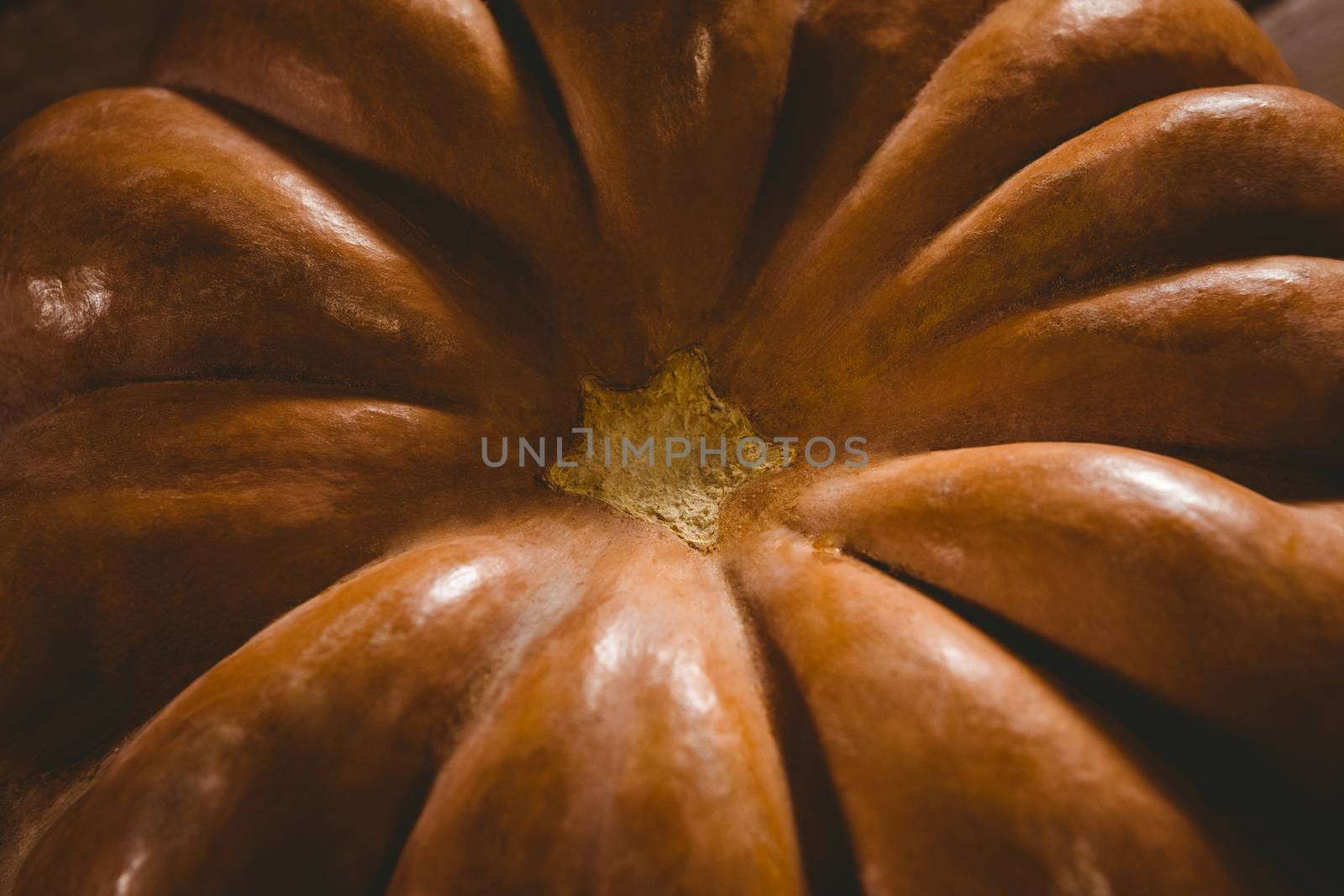Close up of pumpkin during Halloween by Wavebreakmedia