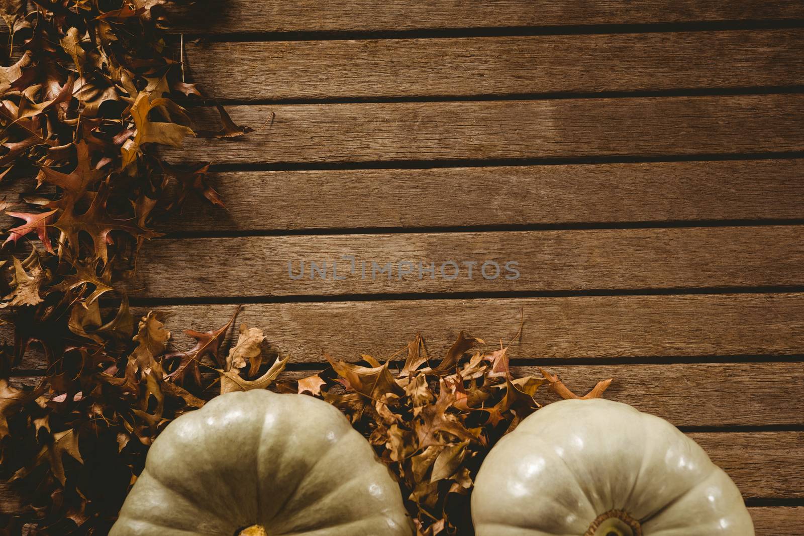 Autumn leaves by pumpkins on table during Halloween by Wavebreakmedia