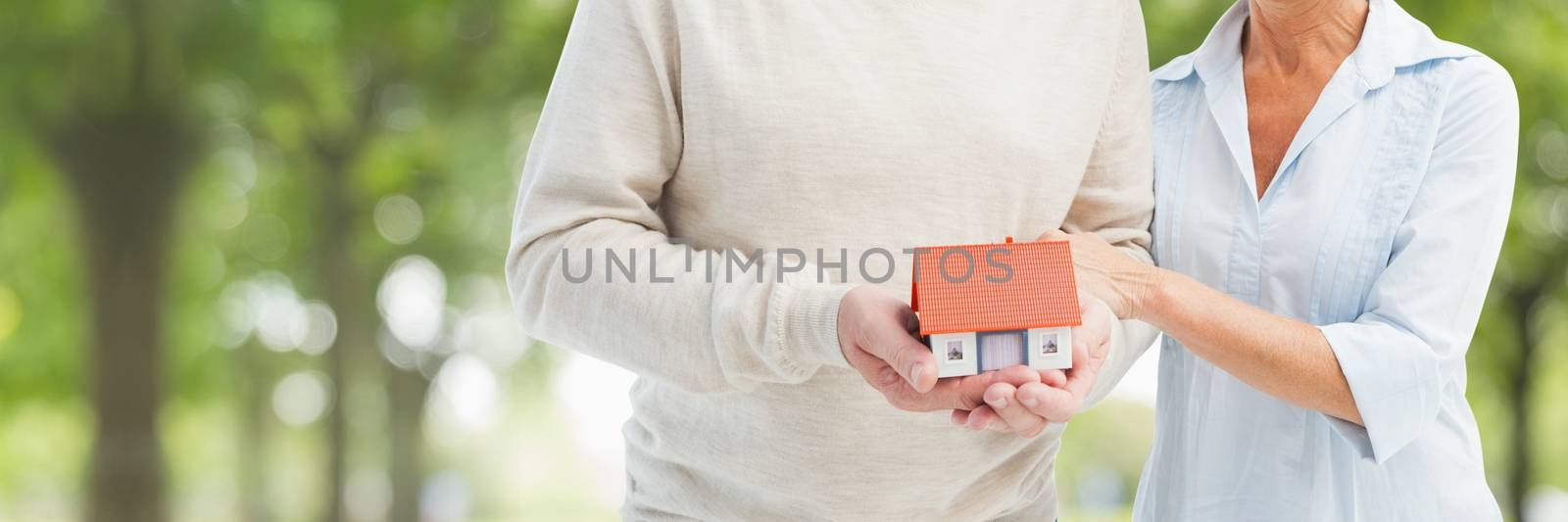 Couple holding a house against green background as concept of insurance by Wavebreakmedia