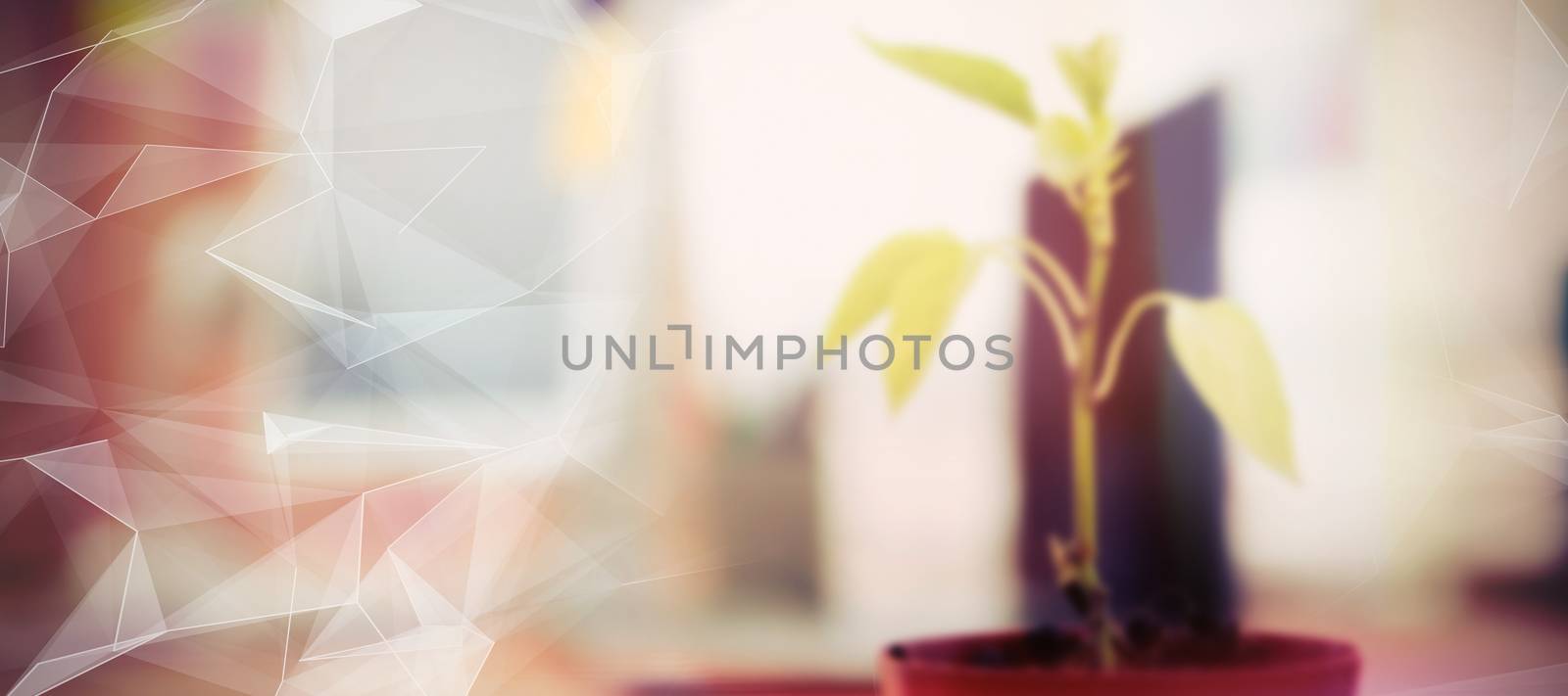 Composite image of close-up of potted plant by Wavebreakmedia