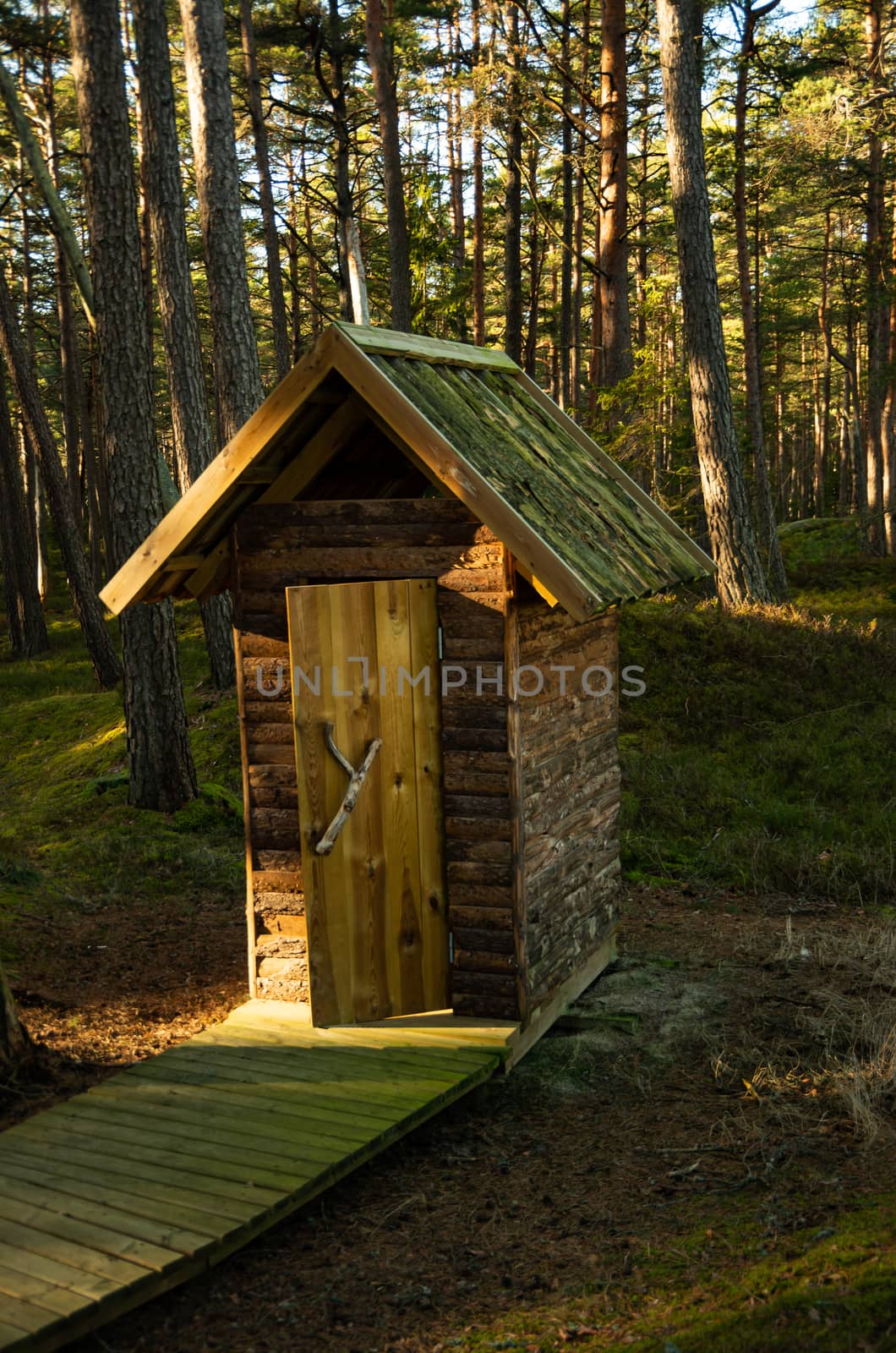 Beautiful outdoor toilet in the forest on a sunny day by Oskars