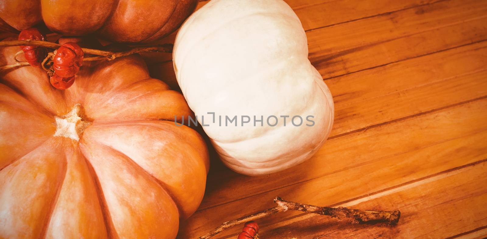 High angle view of pumpkins with plant stems on wooden table during Halloween