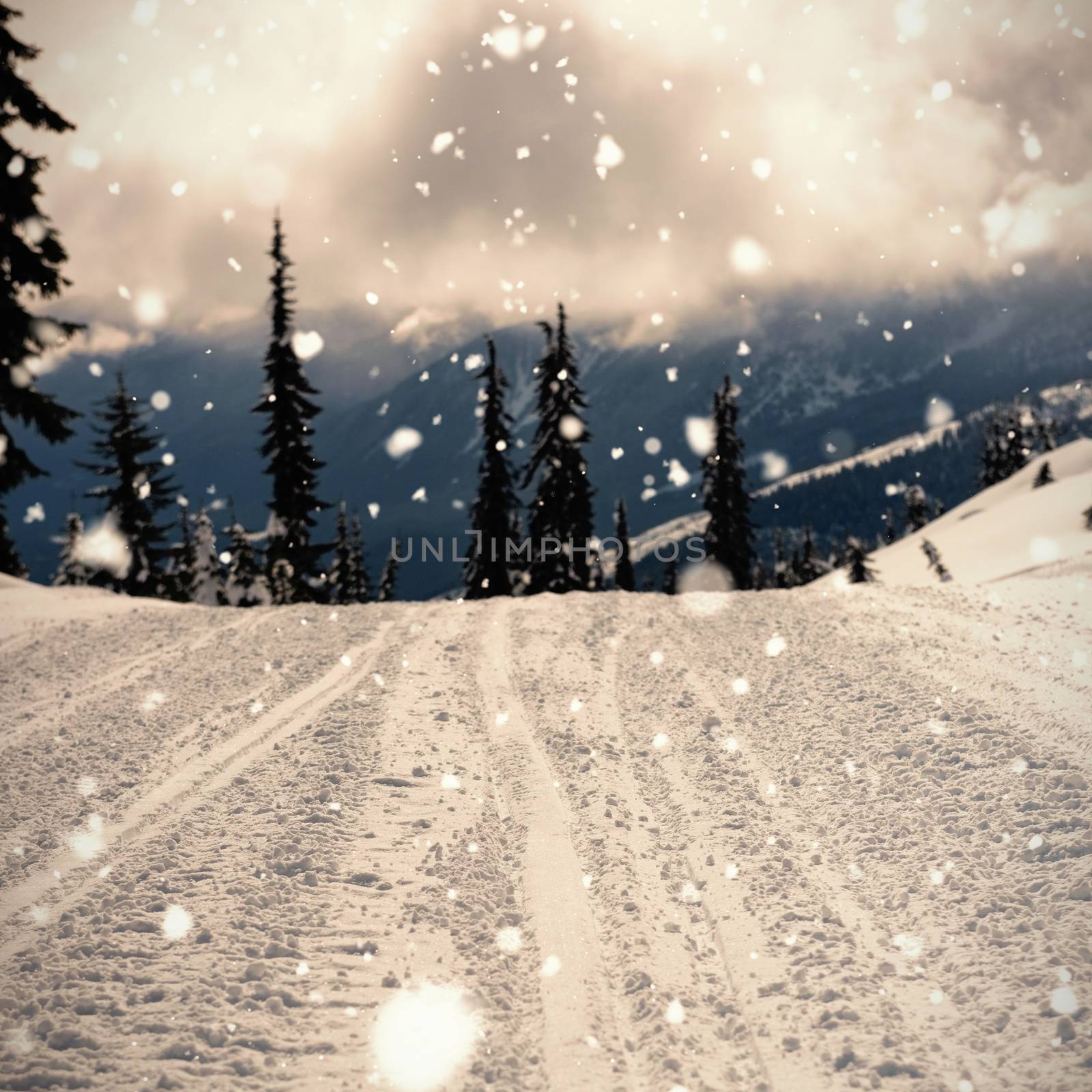 Road coated of snow in mountain in front of trees 