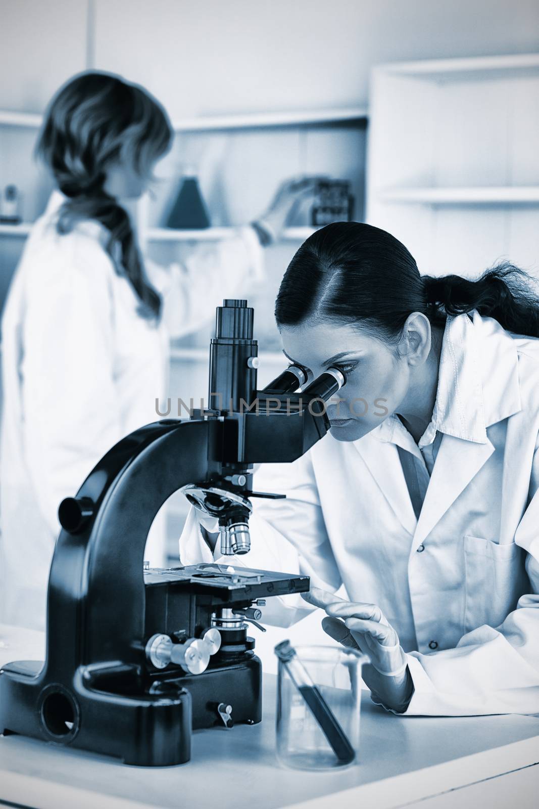 Scientist working in laboratory on microscope