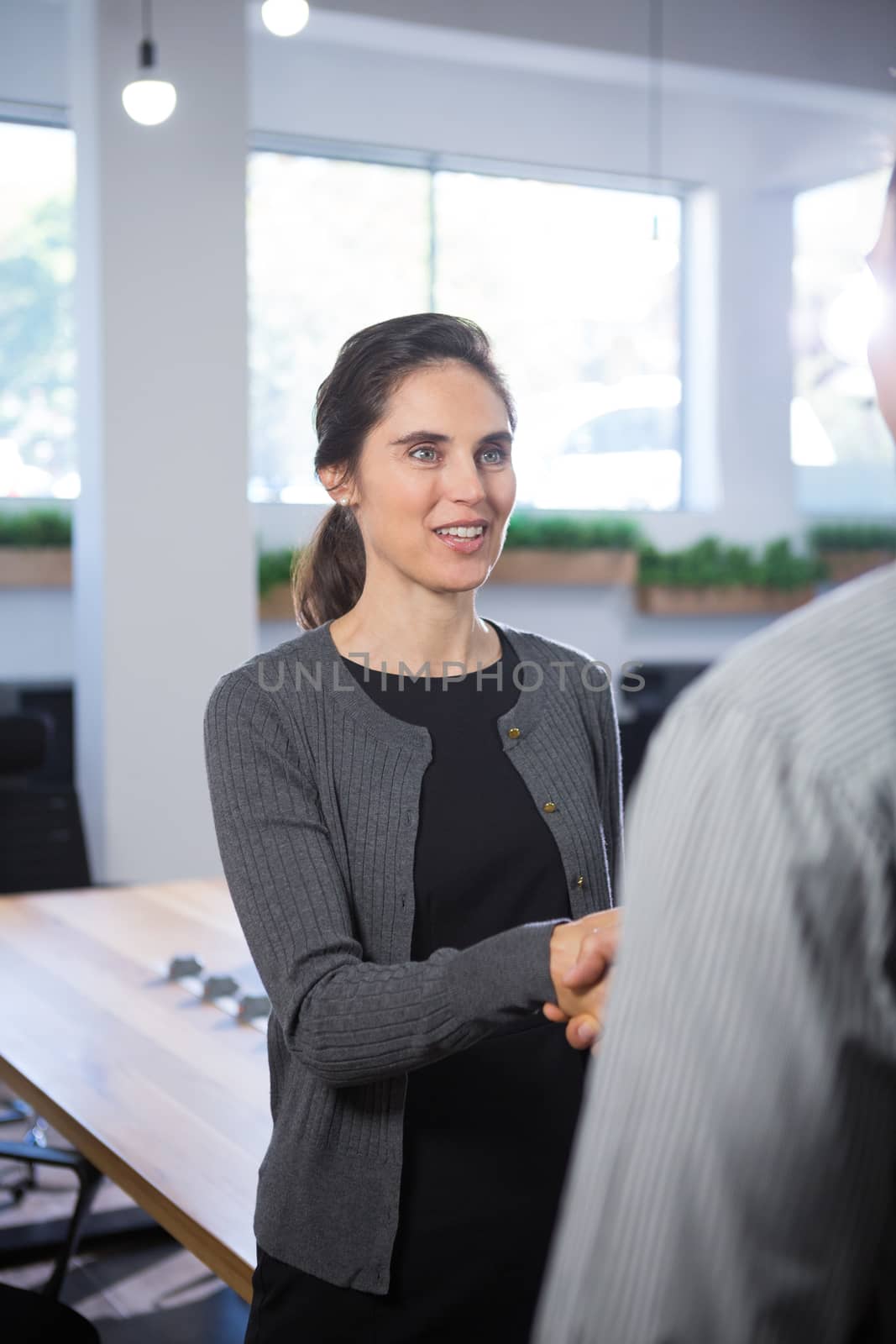 Female executive shaking hands with man in office
