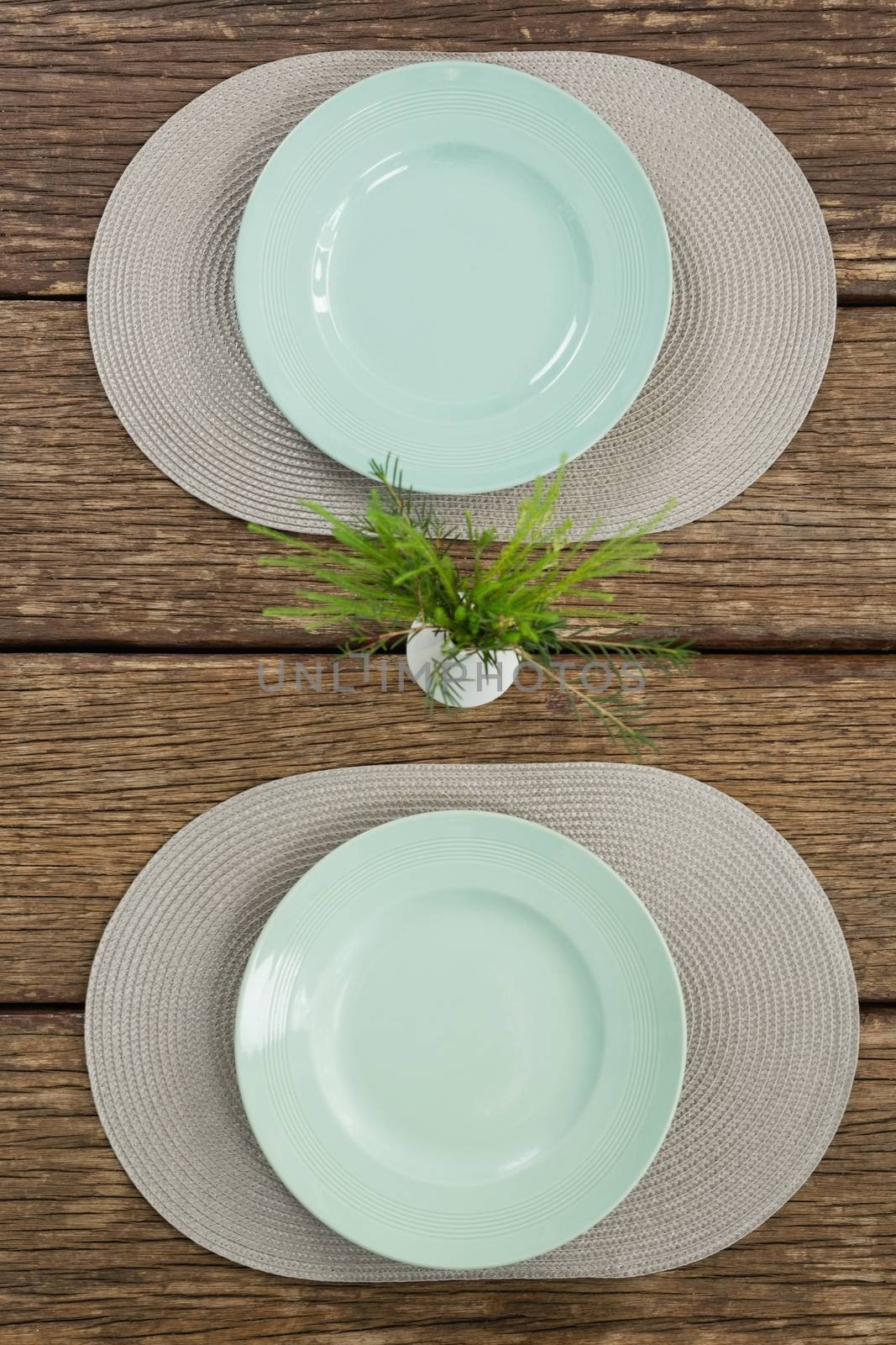 Overhead view of empty plates with plant on wooden table