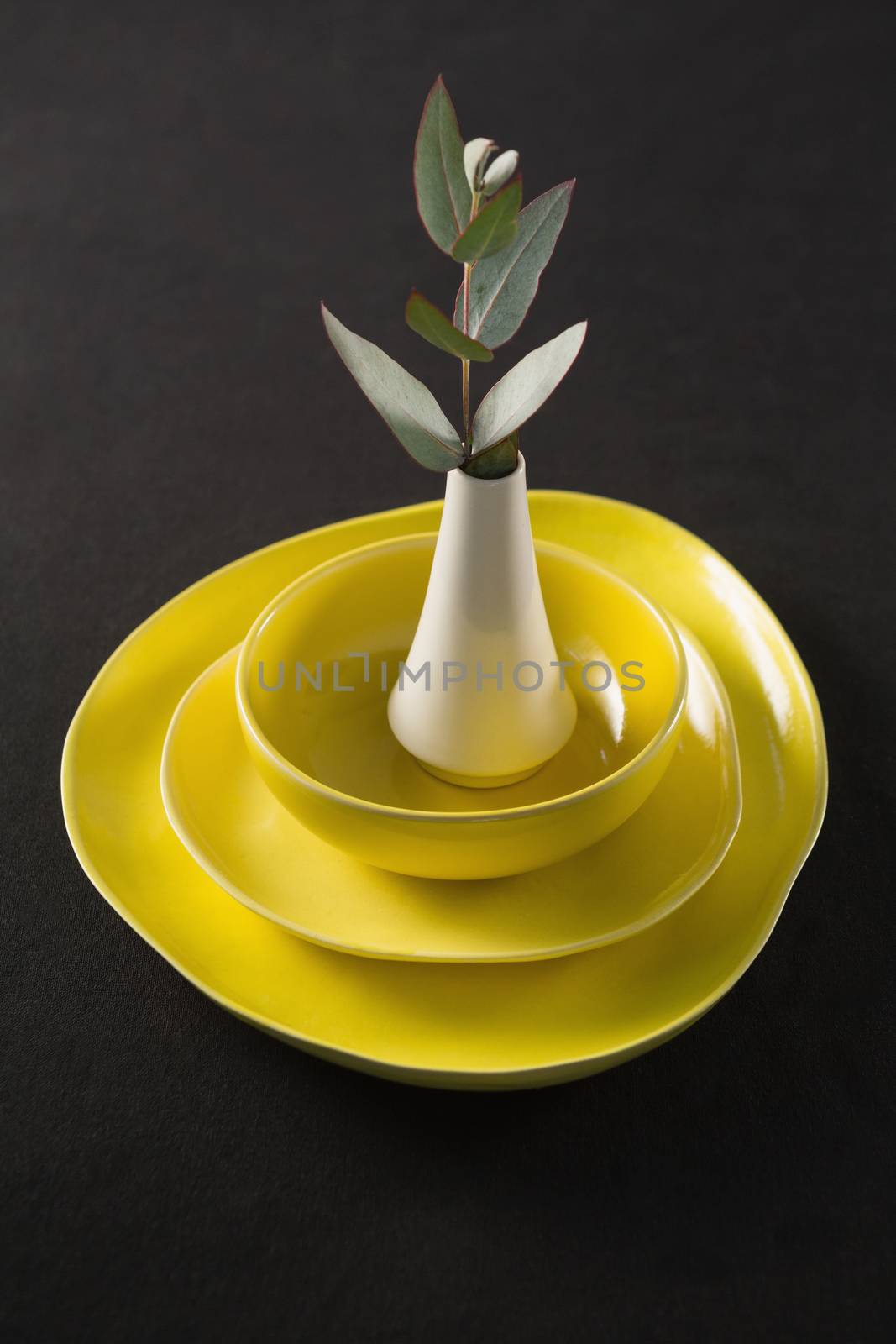 Flower vase kept on porcelain crockery on black background