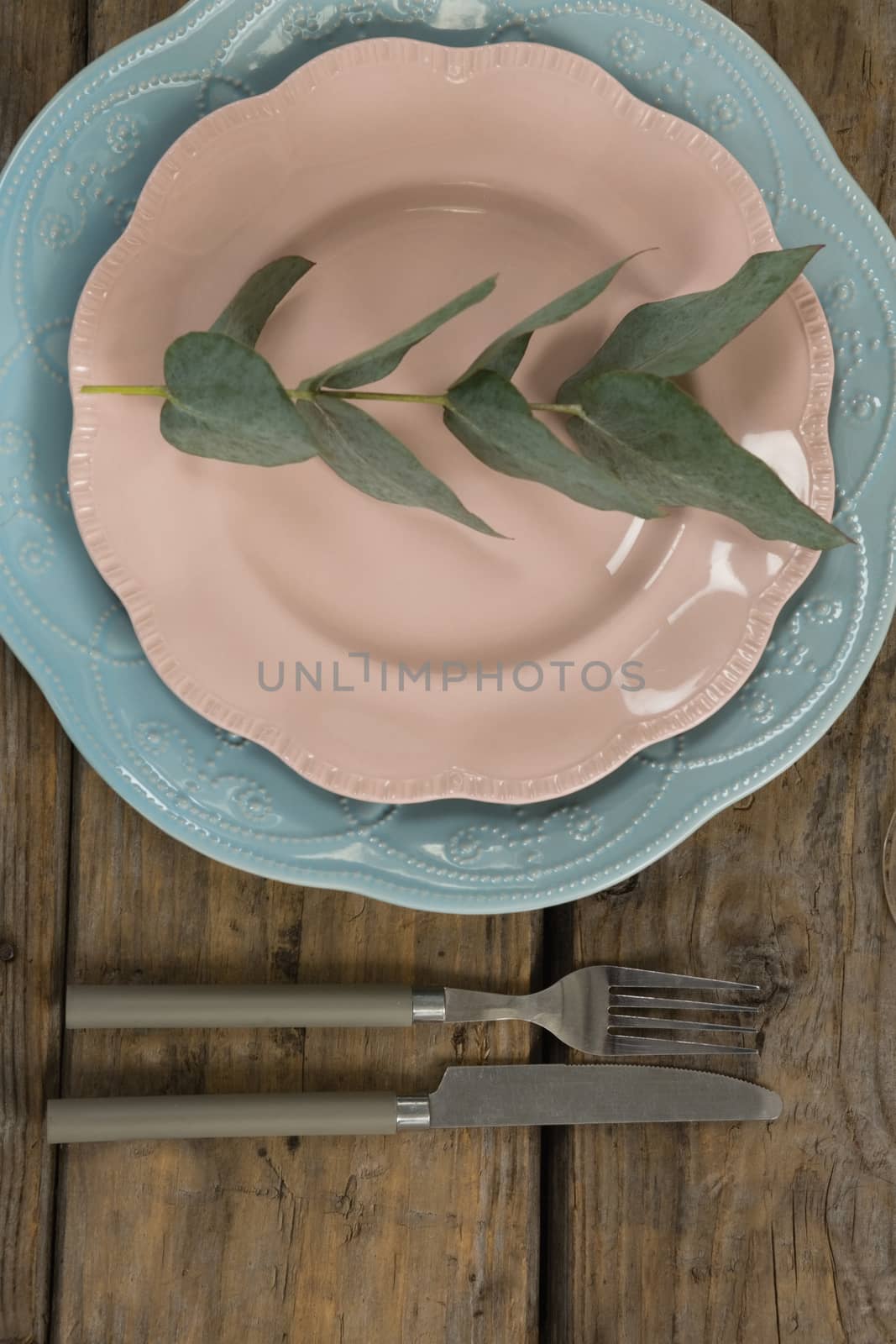 Overhead of leaf arranged on plates