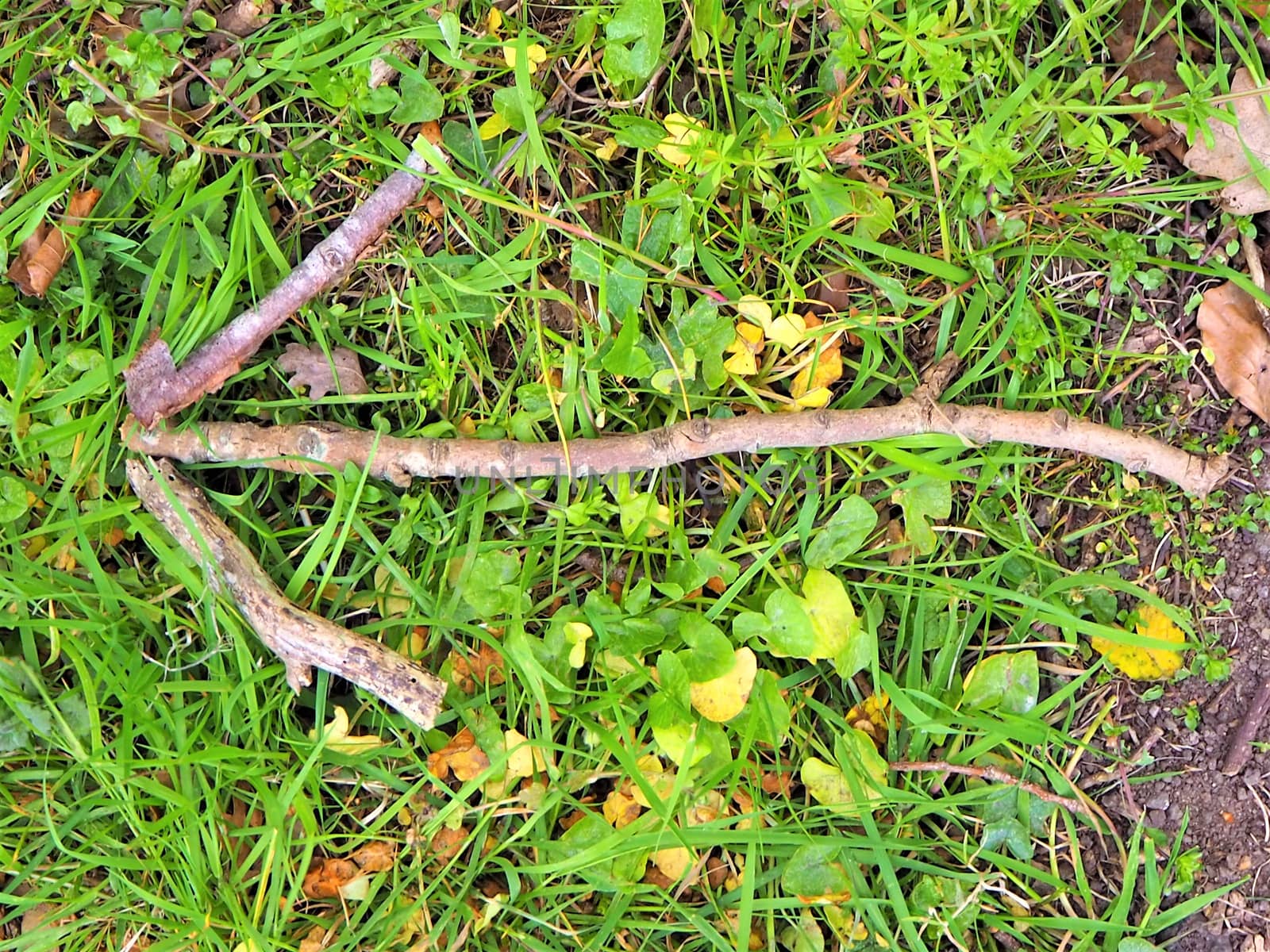 bushcraft stick arrow pointing left on top of green grass