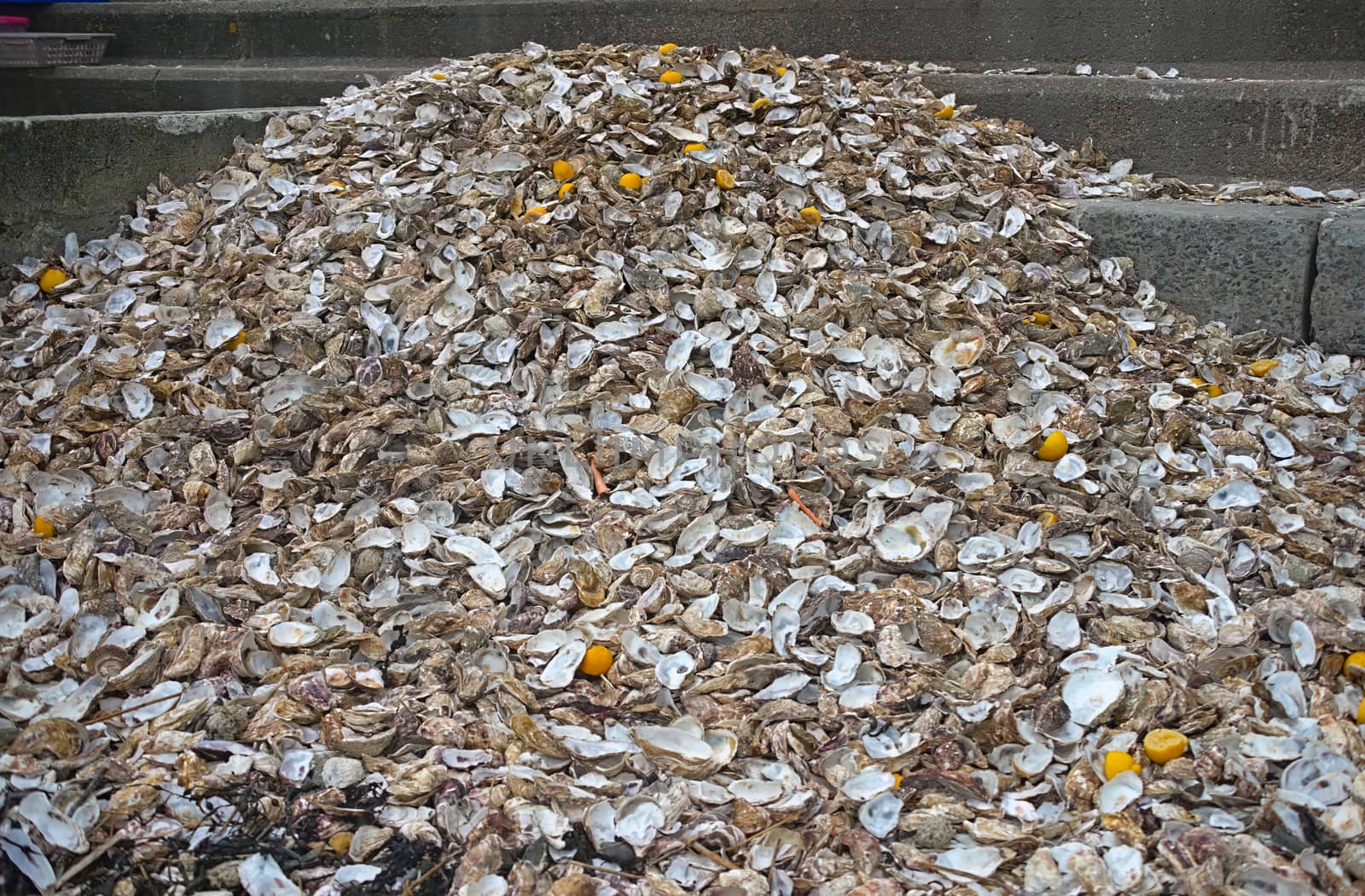 Huge pile of oyster shells at Cancale, France by sheriffkule