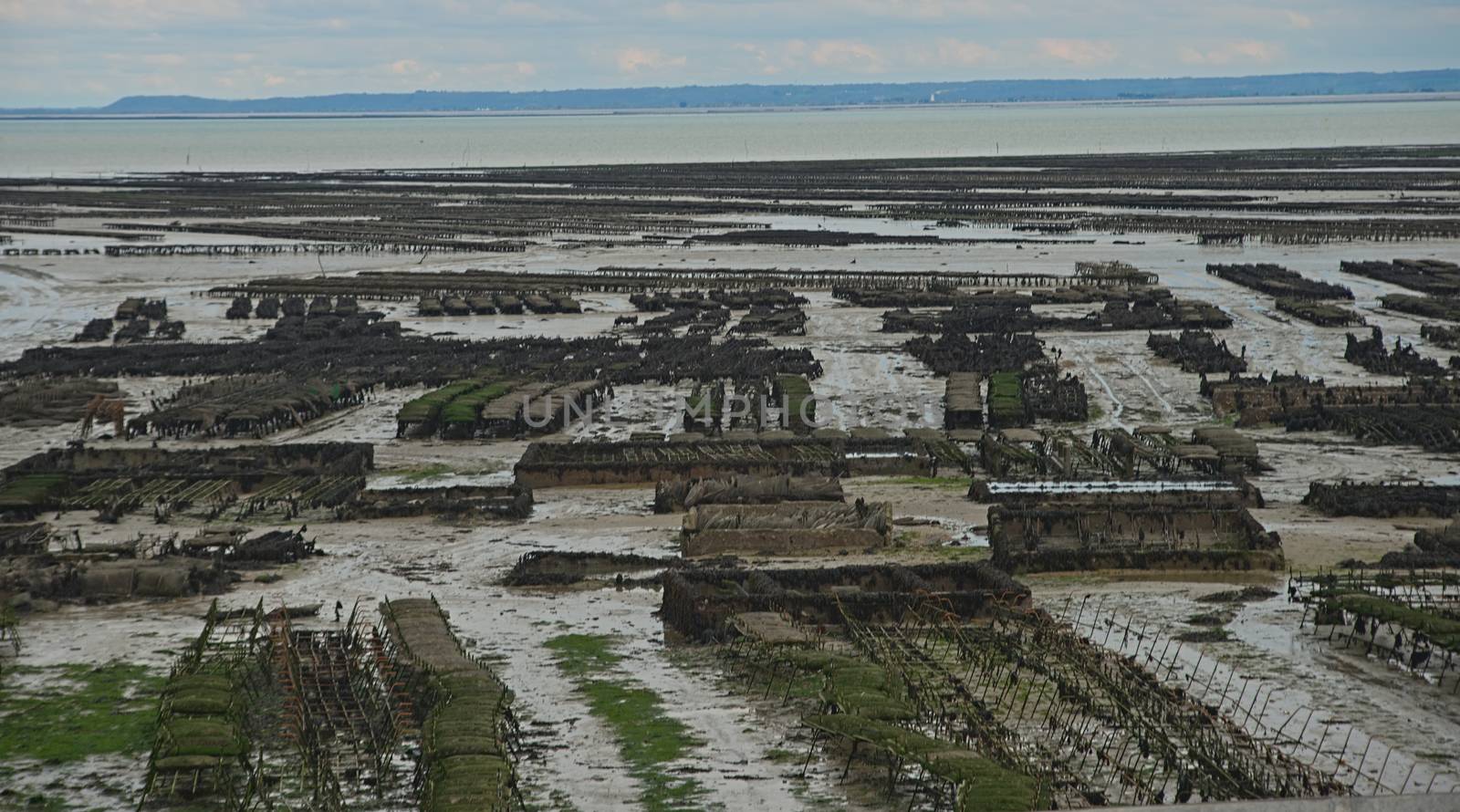 Oyster farm at Atlantic ocean shore at Cancale, France by sheriffkule