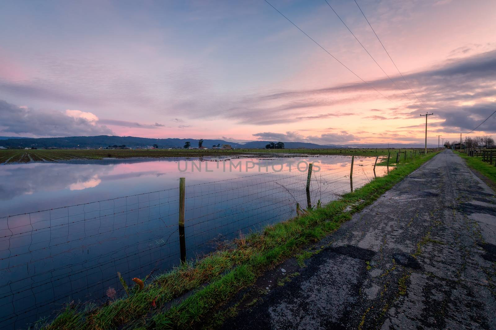 A flooded field along a country road at sunset.