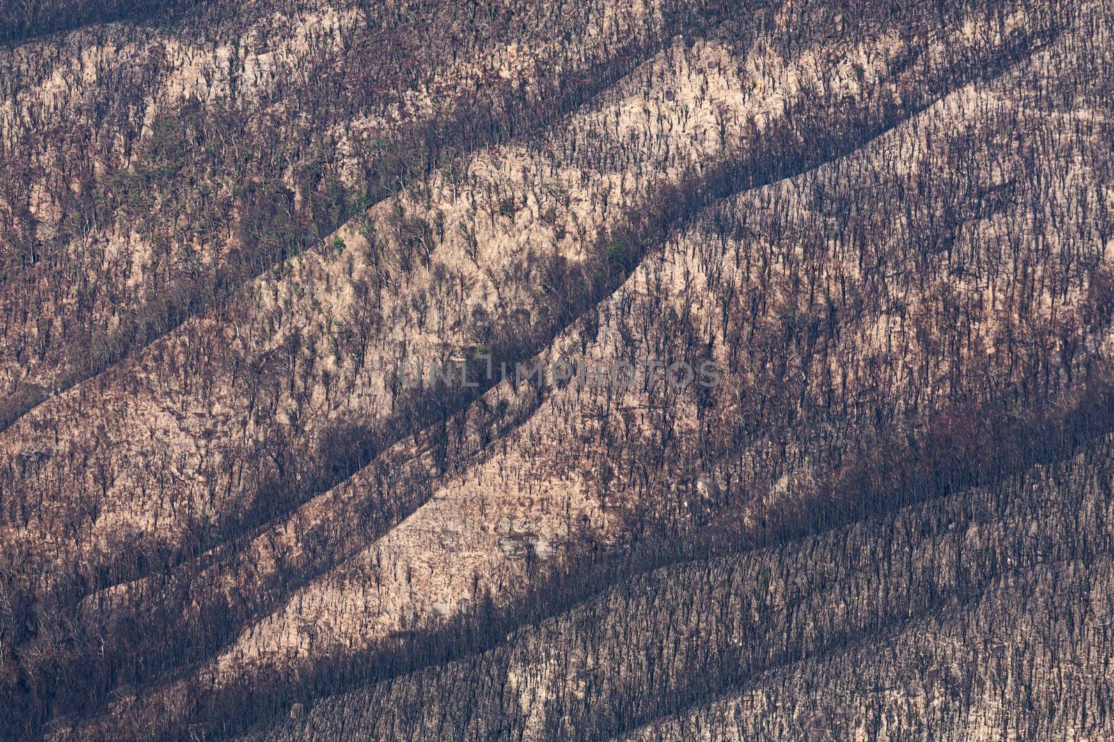 The undressing of the mountain and the earth laid bare by fire exposing its wrinkled surface temporarily  before regeneration and renewal.  Blue Mountains, Australia