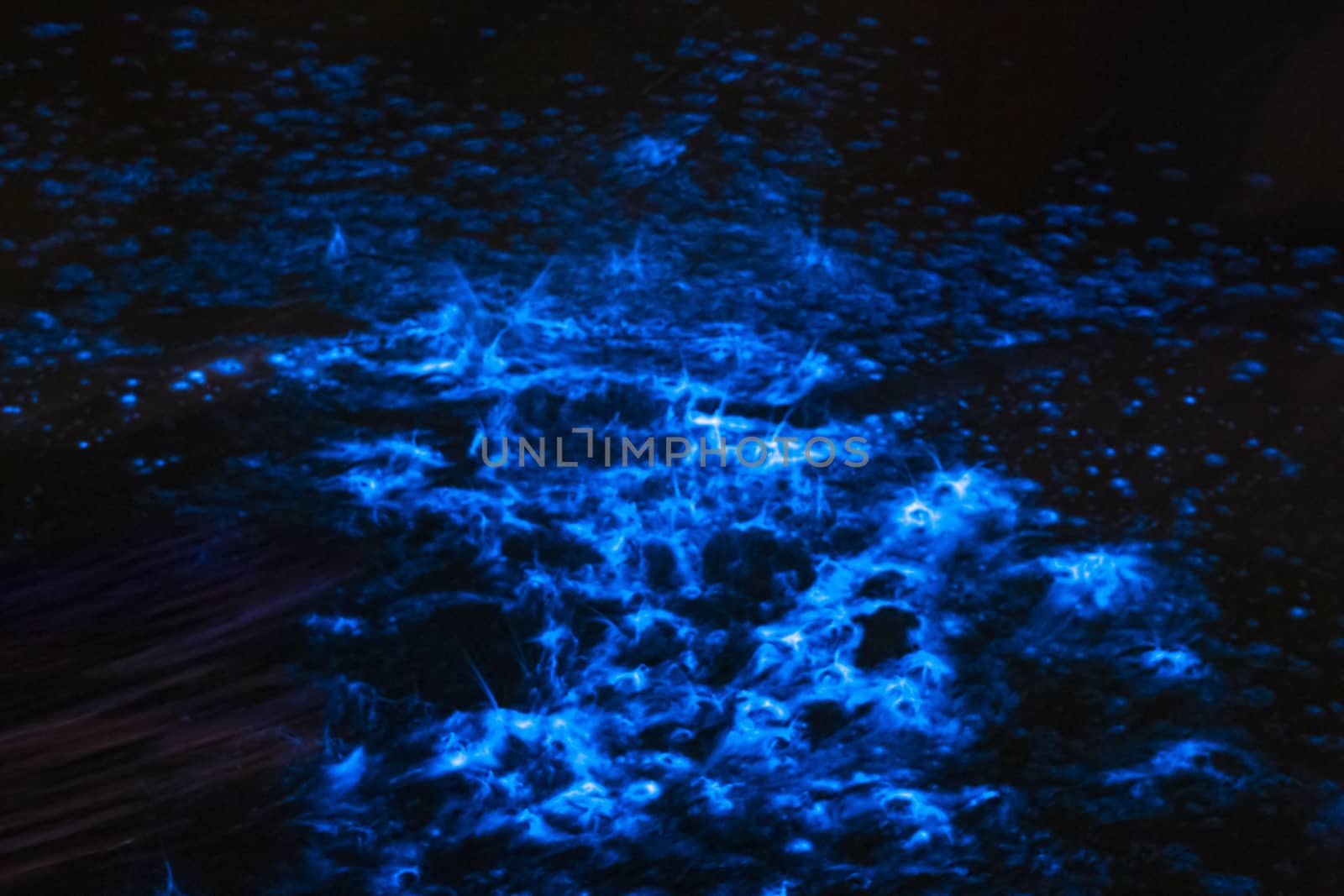 Bioluminescence sea sparkle in ocean tide by lovleah