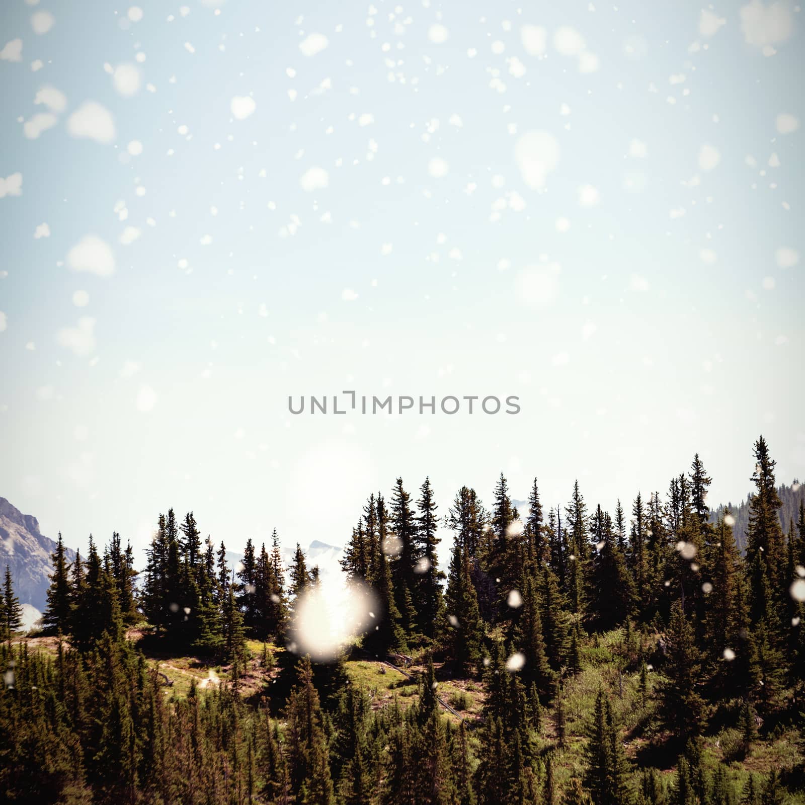 Snow falling against trees and over hills on a sunny day