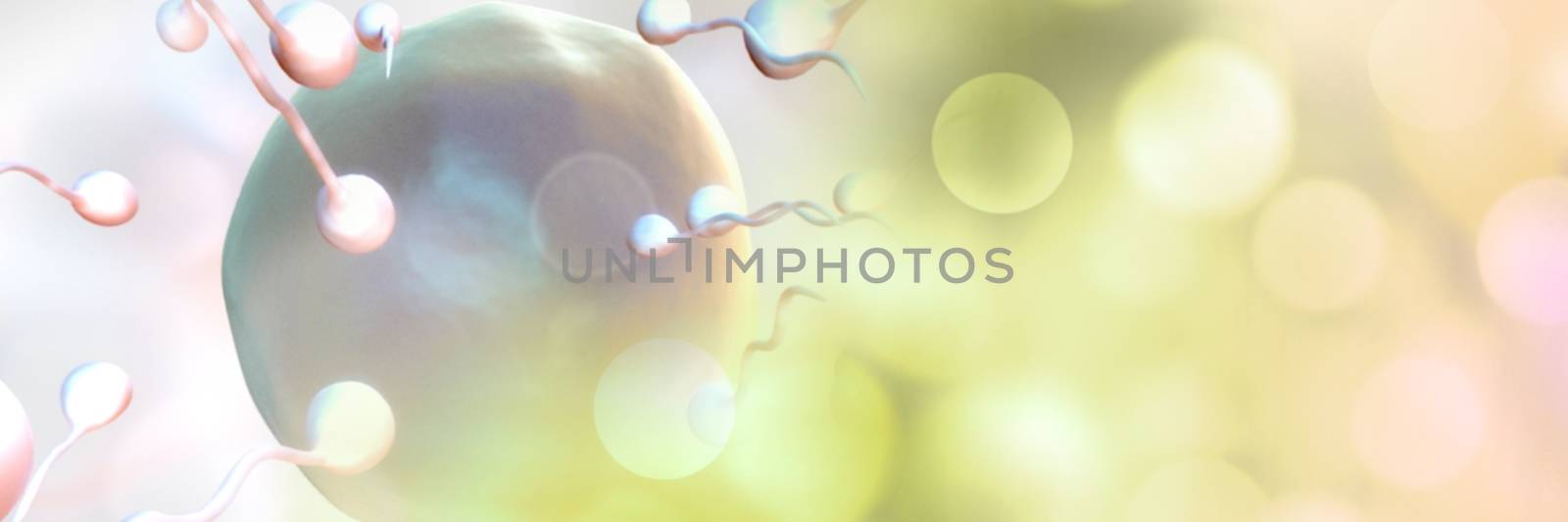 Digital composite of Sperm reproduction ovary for family planning