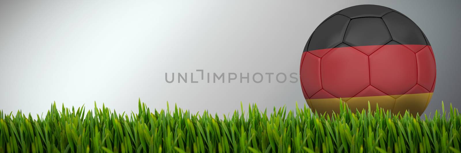 Grass growing outdoors against abstract grey background