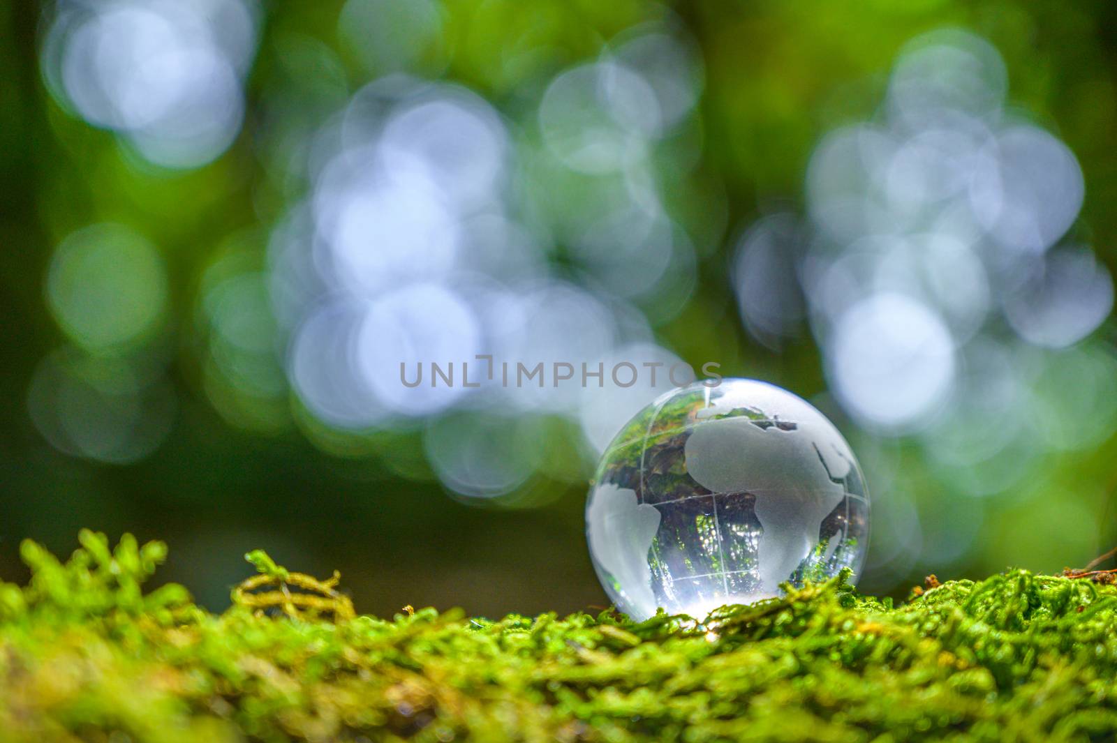 Concept Save the world save environment The world is in the grass of the green bokeh background