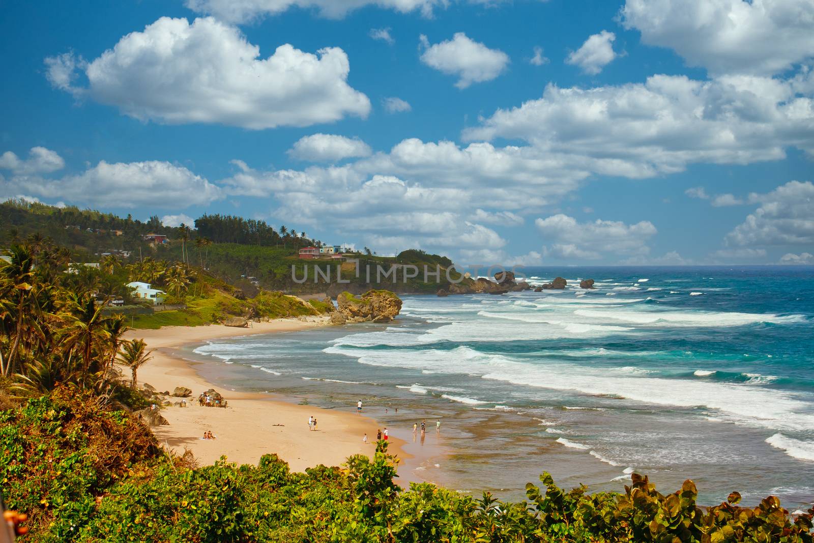 A Tropical Beach Surrounded by Foliage on Barbados by dbvirago