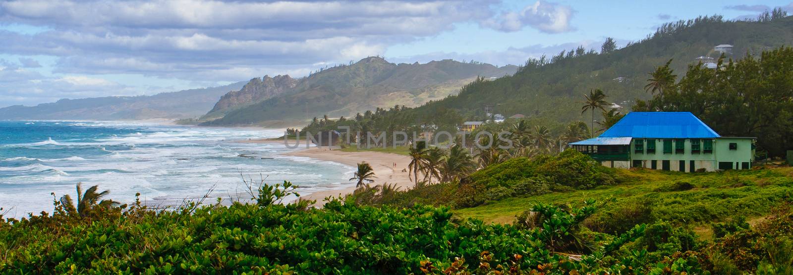 A panoramic view of the coast of Barbados