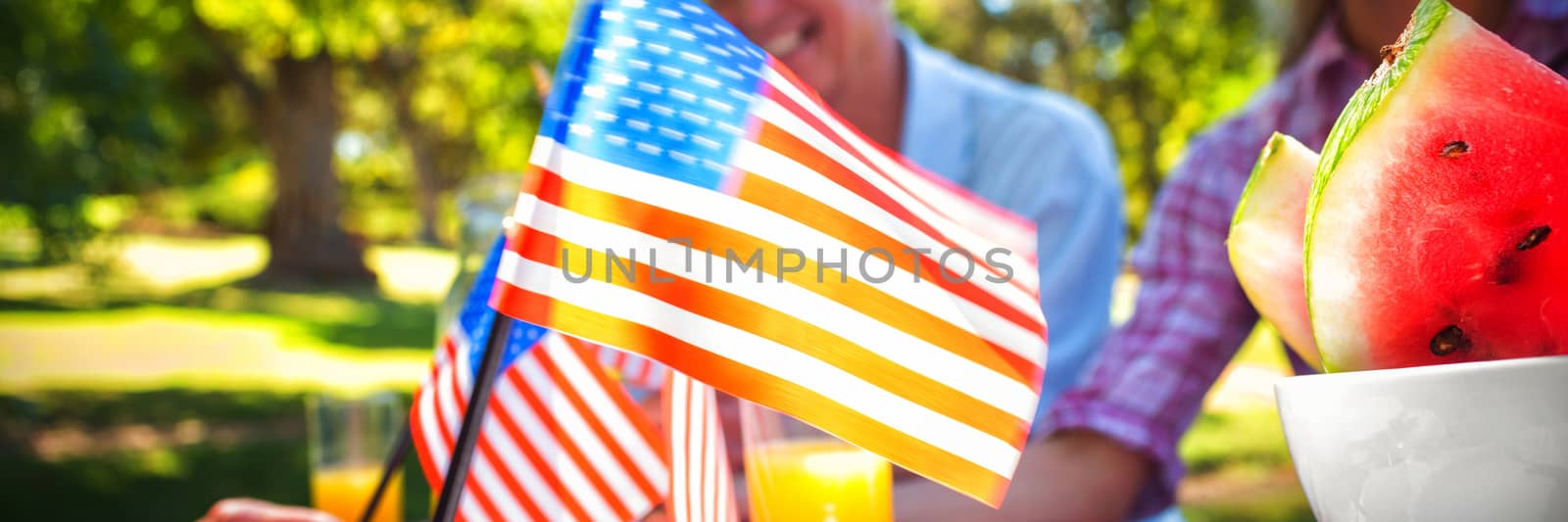 Cropped image of hand holding American flag while having picnic at park with family