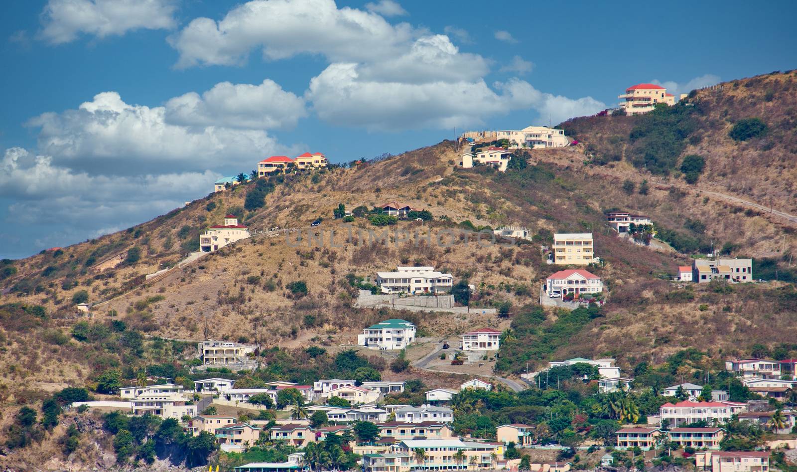 White Houses on Tropical Hill by dbvirago