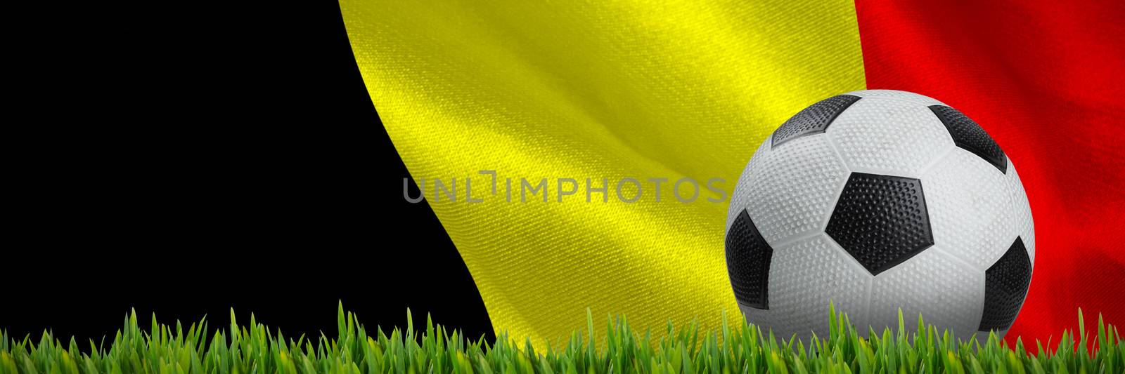 Grass growing outdoors against digitally generated belgian national flag