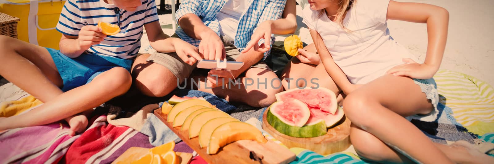 Happy family sitting together by fruits on blanket at beach by Wavebreakmedia