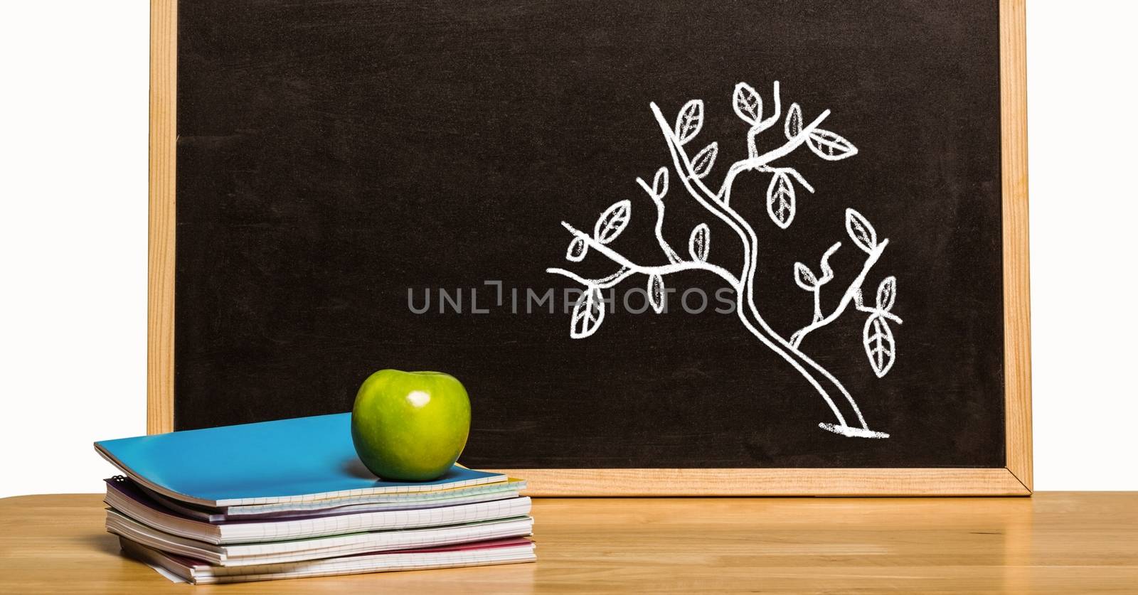 Digital composite of Tree Education drawing on blackboard with apple for school