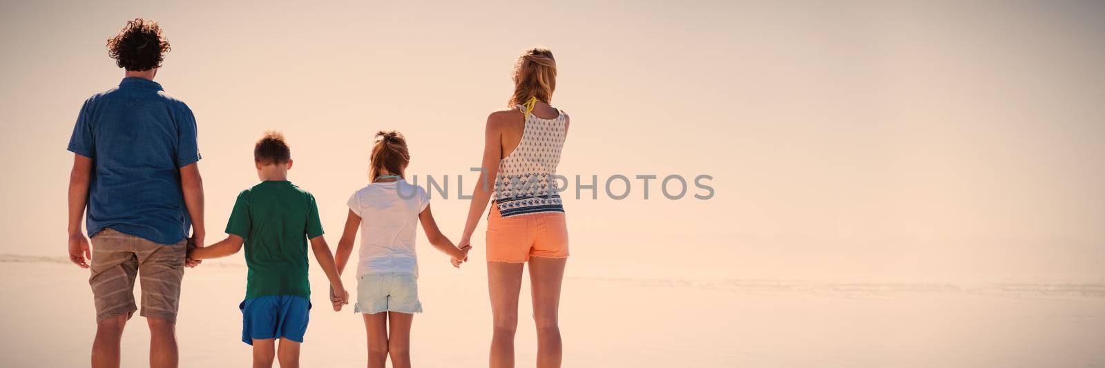 Rear view of family holding hands while standing together on shore at beach during sunny day