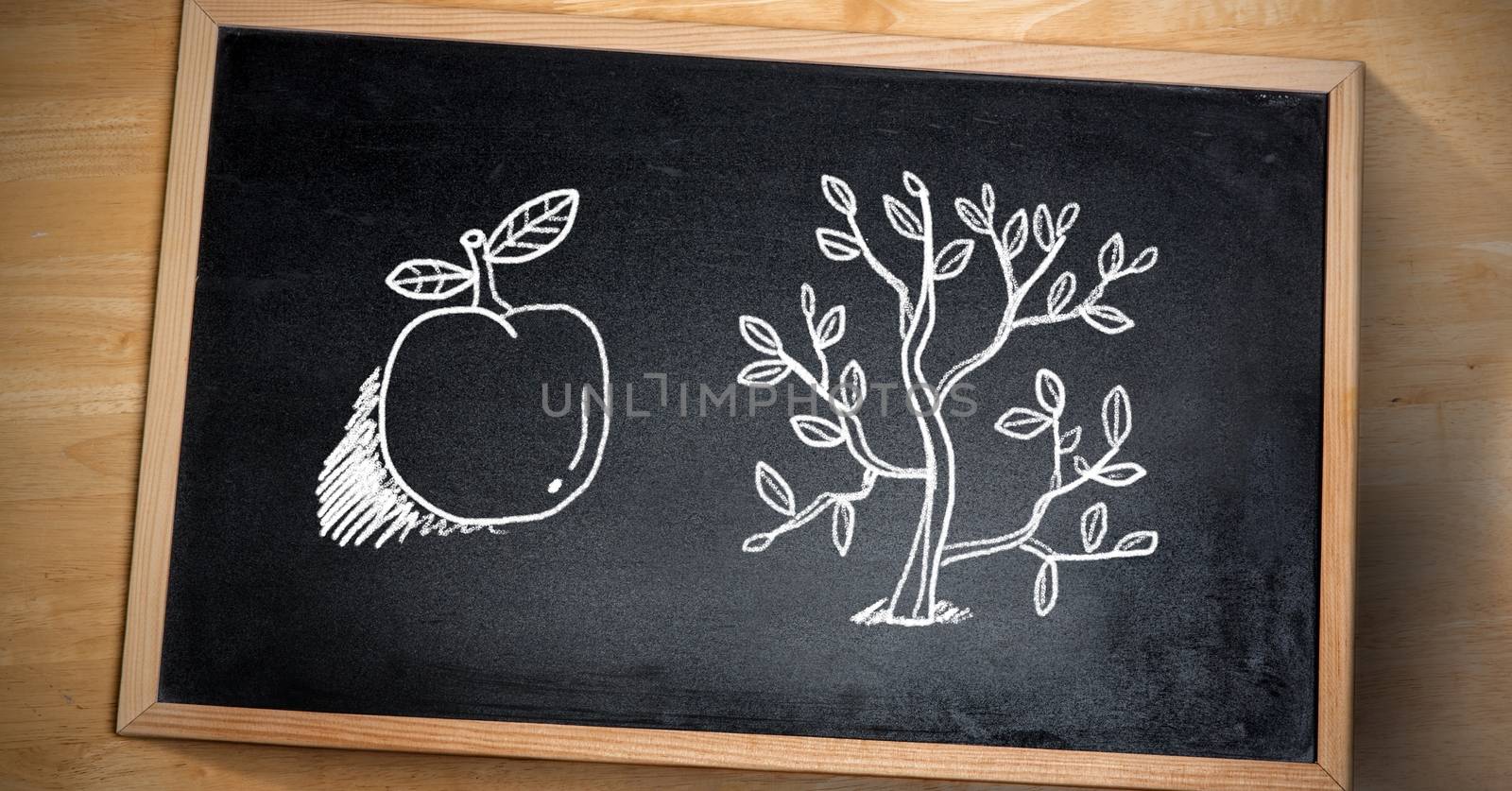 Digital composite of Apple and tree nature Education drawing on blackboard