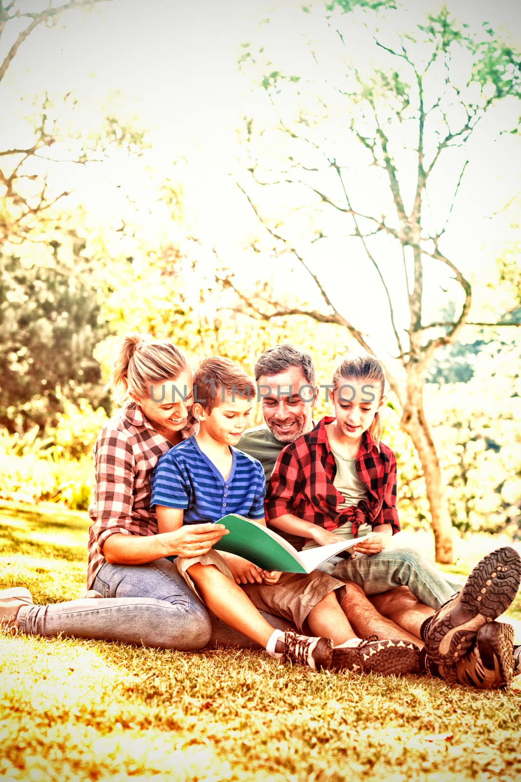 Family reading a book in the park on a sunny day