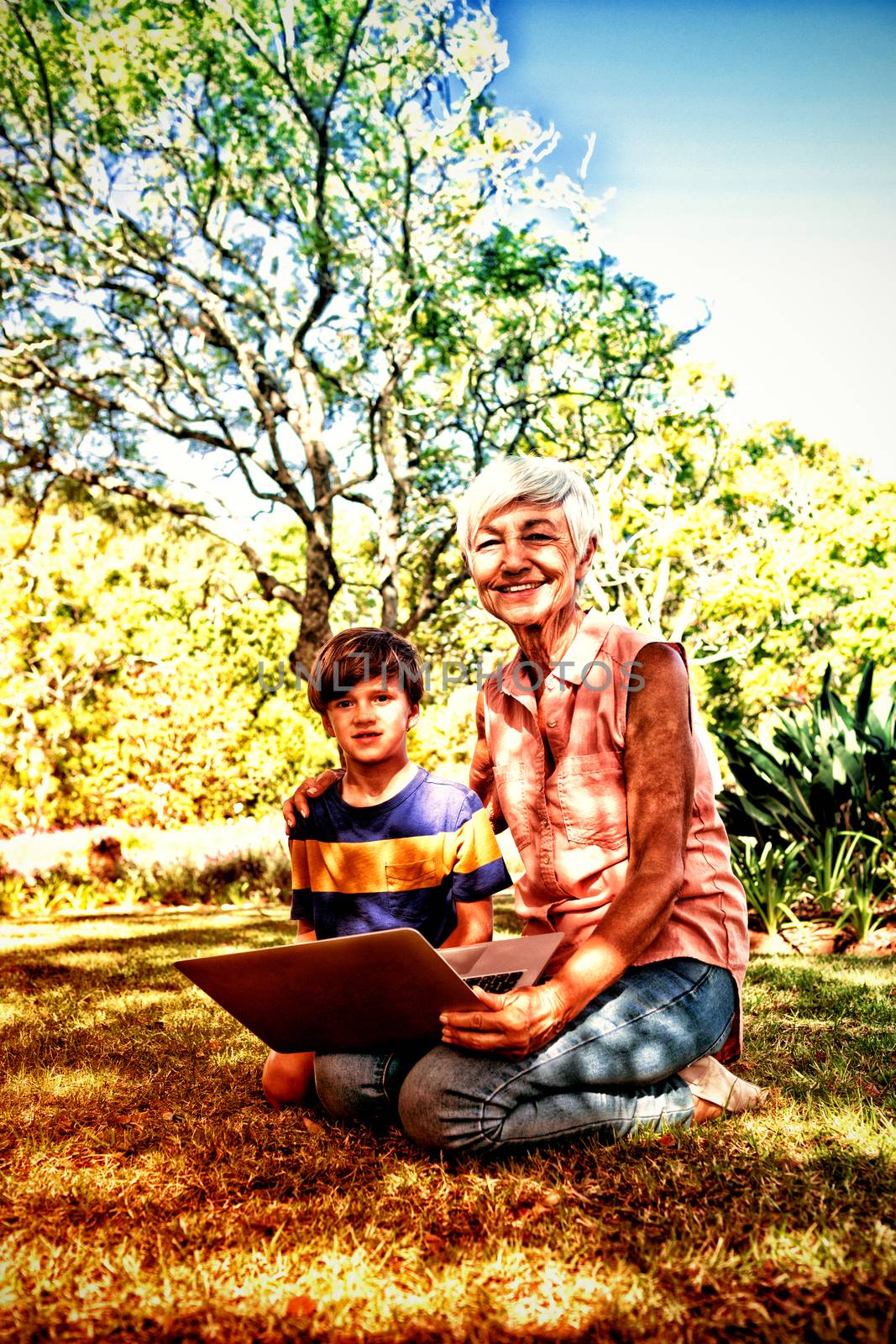 Portrait of grandmother and grandson using laptop in the park