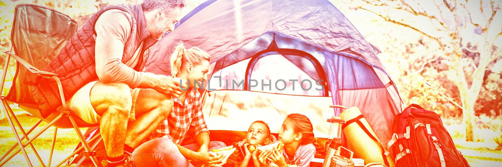 Family interacting while having snacks outside the tent by Wavebreakmedia