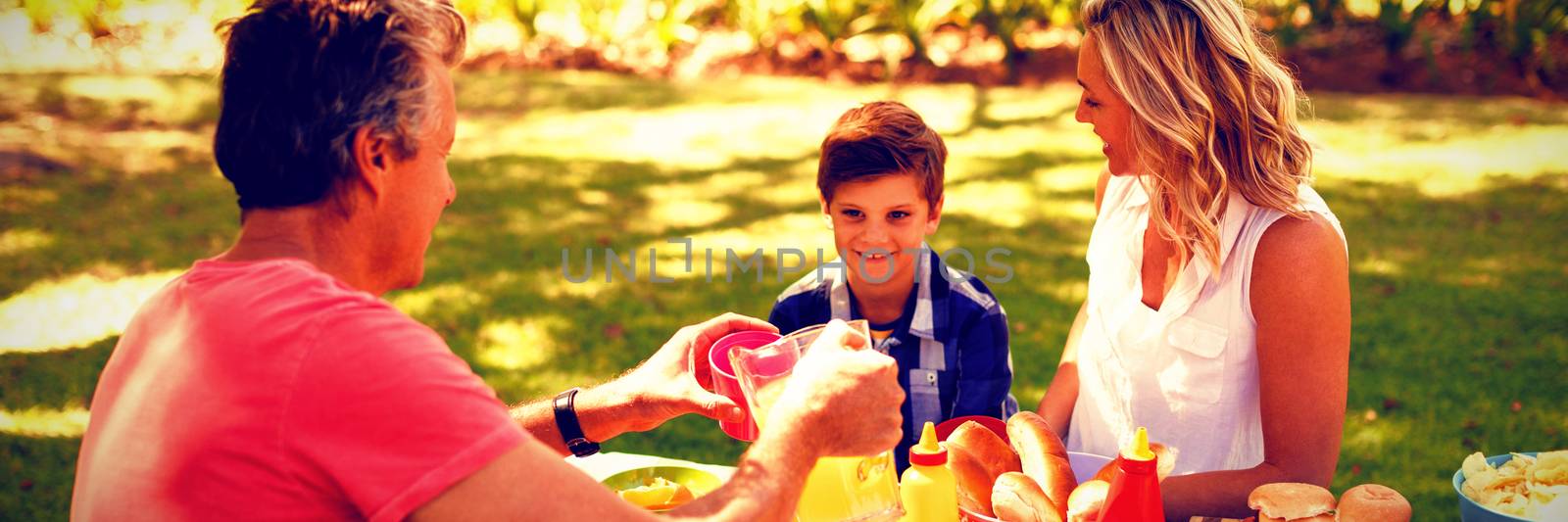 Happy family interacting with each other while having meal in park on a sunny day