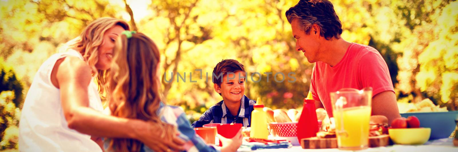 Happy family interacting with each other while having meal in park by Wavebreakmedia