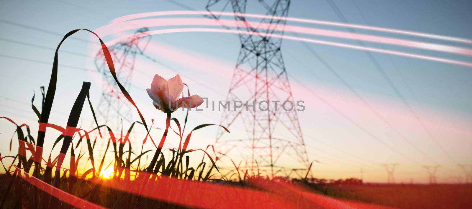 Grey line design against the evening electricity pylon silhouette
