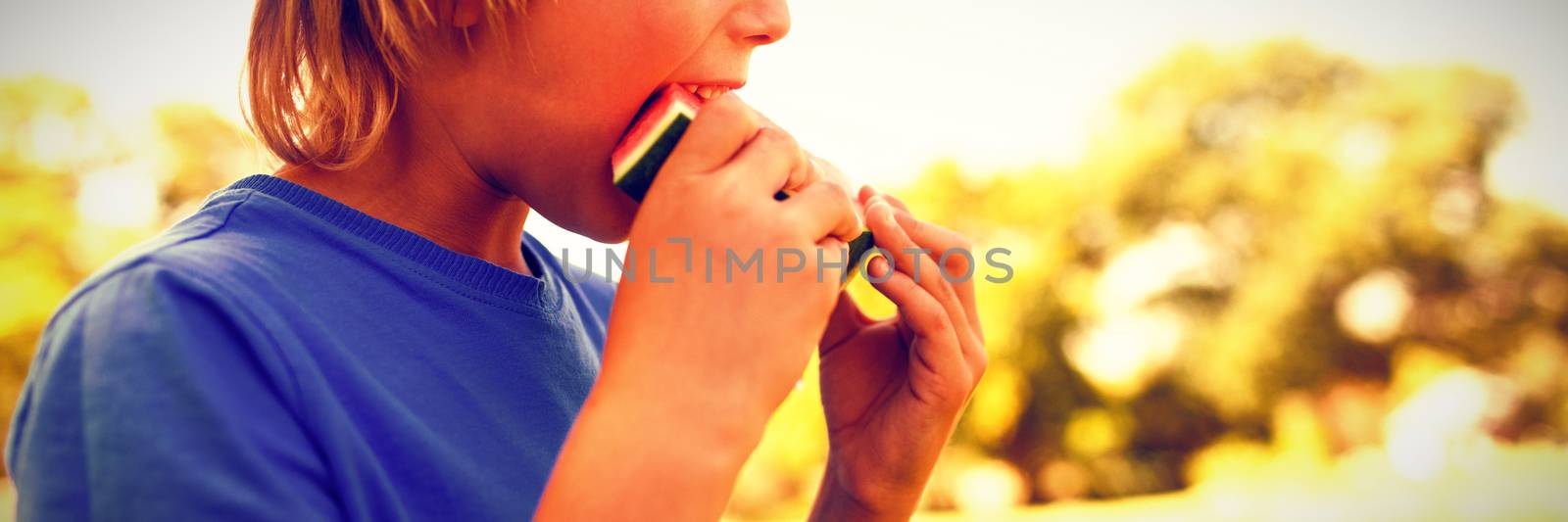 Close-up of boy having watermelon in the park
