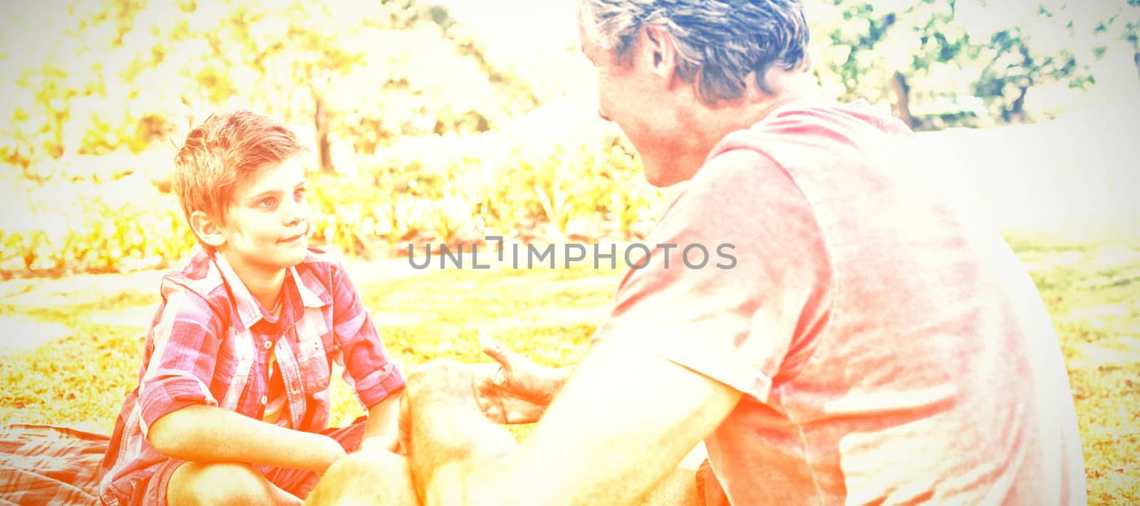 Father talking to son at picnic in park on a sunny day
