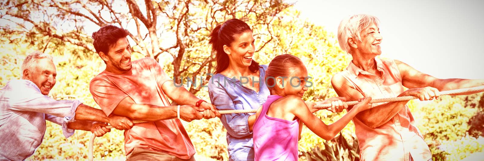 Family playing tug of war in the park by Wavebreakmedia