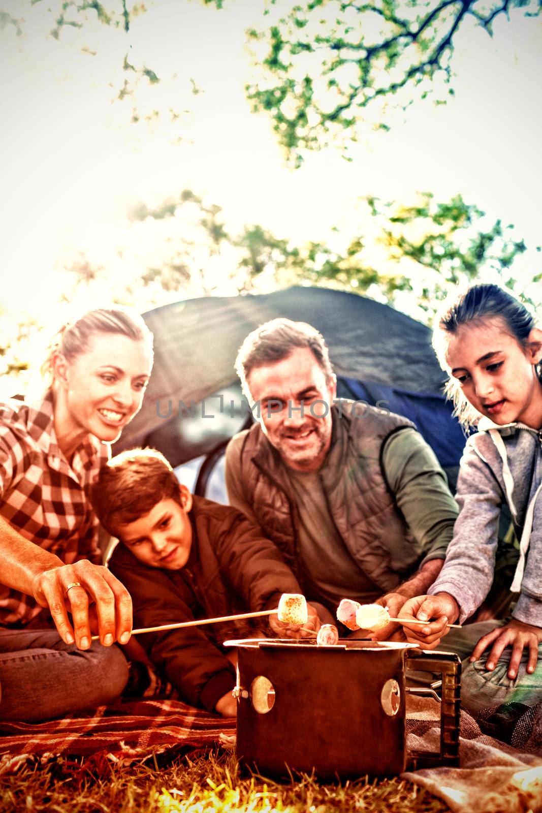 Family roasting marshmallows outside the tent on a sunny day