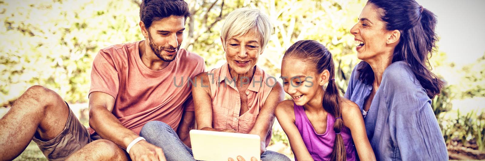 Family looking at digital tablet in the park by Wavebreakmedia