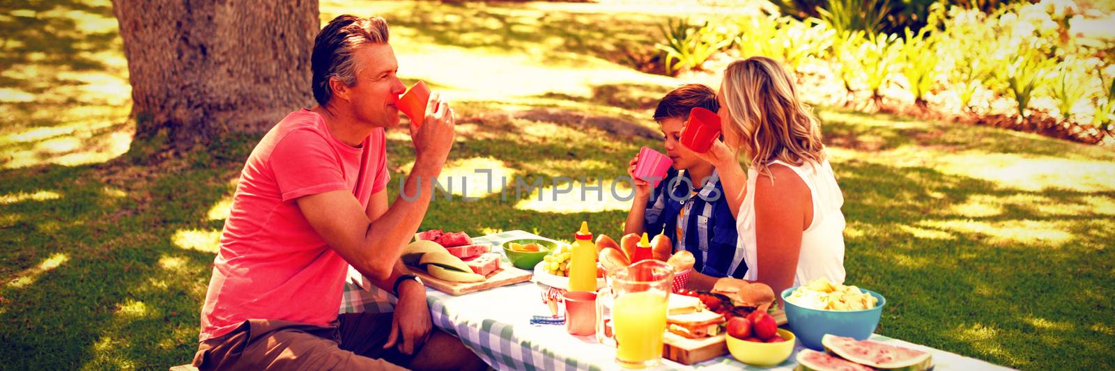 Happy family having juice in park by Wavebreakmedia