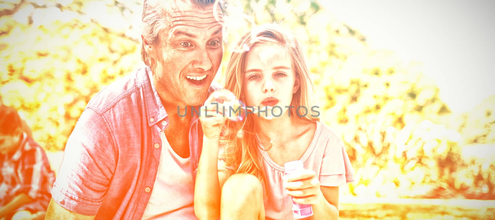 Happy Father and daughter blowing bubble wand at picnic in park