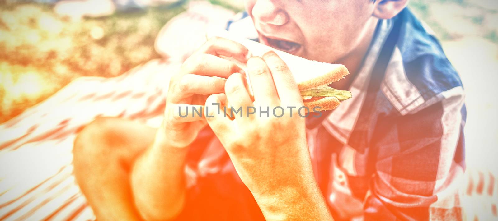 Boy having sandwich in picnic at park on a sunny day